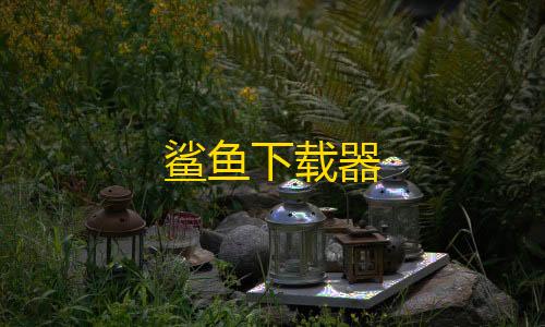 和平精英模拟器高清版鲨鱼下载器